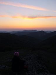 Пчолине з panoramio.com