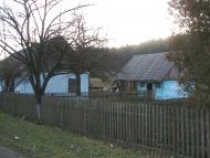 Максимівка з panoramio.com