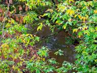 Рудки з panoramio.com