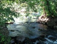 Дмитренки з panoramio.com