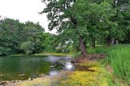 Краснодон з panoramio.com