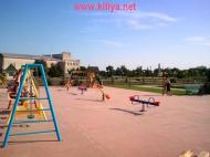 Шевченкове з panoramio.com