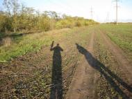 Великодолинське з panoramio.com