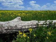 Братсько-Семенівка з panoramio.com