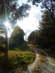 Марочкине з panoramio.com