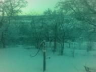 Лапшин з panoramio.com