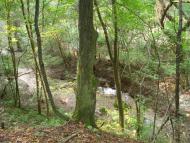 Маціорськ з panoramio.com