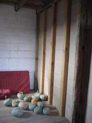 Крушинка з panoramio.com