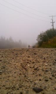 Коти з panoramio.com