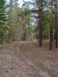 Ярова з panoramio.com