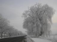 Великі Лучки з panoramio.com