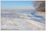 Липці з panoramio.com