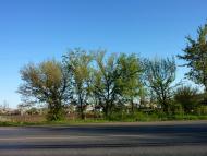 Маломиколаївка з panoramio.com