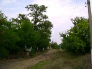 Малоіванівка з panoramio.com