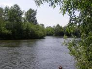 Омельник з panoramio.com