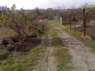 Червоний Садок з panoramio.com