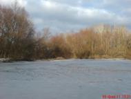 Омельник з panoramio.com