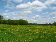 Боровеньки з panoramio.com