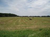 Верхоли з panoramio.com