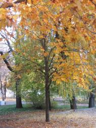 Оріхів з panoramio.com