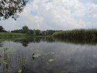 Литовка з panoramio.com