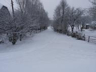 Травневе з panoramio.com