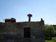 Навіз з panoramio.com