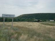 Грибуваха з panoramio.com