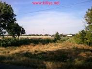 Шевченкове з panoramio.com