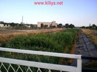 Шевченкове з panoramio.com