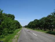 Широке з panoramio.com