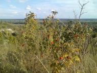 Гірки з panoramio.com