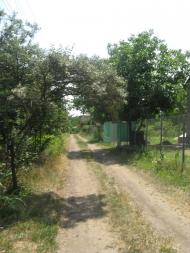 Придніпровське з panoramio.com