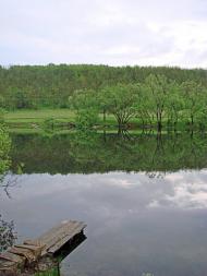 Губник з panoramio.com