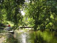 Риботень з panoramio.com