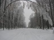 Станівці - Останні фото