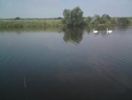 Олександрівка з panoramio.com