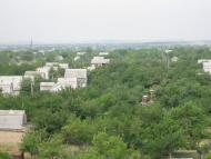 Кам'яне з panoramio.com