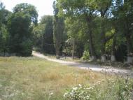 Махаринці з panoramio.com