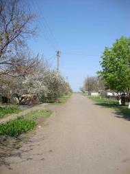 Sirogozy - Latest photos