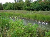 Червоні Поди з panoramio.com