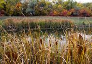 Червоні Поди з panoramio.com