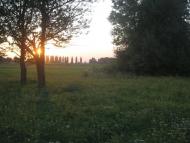 Щурівчики з panoramio.com