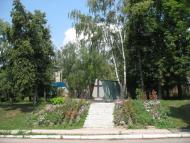 Ржищів з panoramio.com