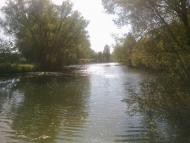 В'язенка з panoramio.com