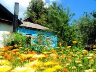 В'язенка з panoramio.com