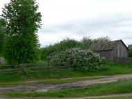 Ближнє з panoramio.com