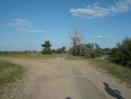 Болотене з panoramio.com