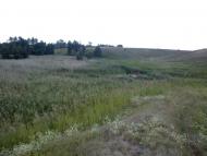 Полуніївка - Останні фото