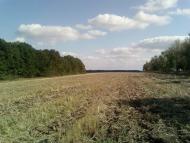 Ізбицьке з panoramio.com